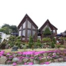 무주아일랜드 이미지