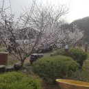 나들농장 이미지