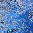 물한계곡하얀쉼터 | 충북 영동 민주지산 물한계곡 등산코스 12월 설산 겨울산행