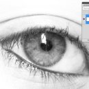 화려하개 이미지