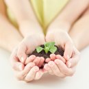 은행나무한의원 이미지