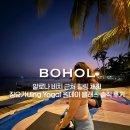 핸즈온버드 - 마포구 토정로3길 9 | 보홀 여행 / 알로나 비치 근처 힐링 체험, 징요가(Jing Yoga) 원데이 클래스 솔직 후기