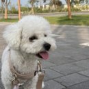 다원 동물병원 이미지