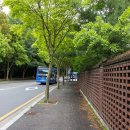 도심건강길 3길 이미지