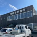 어람풍천장어
