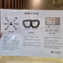 강남아이테라피안경
