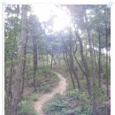 삼운정약수터 Daum카페