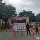 조이종합댄스 | 영광 불갑산 상사화축제 아이와 다녀온 후기(w.브레드이발소 싱어롱쇼)