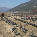 장척농장 이미지