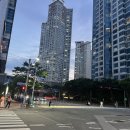 아이에스메디(IS메디) 이미지