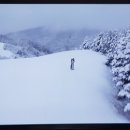 본어게인(BornAgain) 이미지