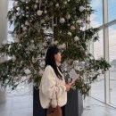 강릉아트센터 소공연장 | 대니구 ‘HOME’ 콘서트,강릉아트센터 후기