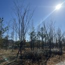 매곡3차산업단지내 이미지