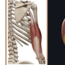 석세스짐 망포역점 이미지