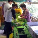 평촌농장 이미지