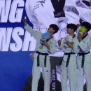 최강국가대표태권도 이미지