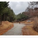 지리산 유아숲체험원 이미지