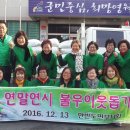 한반도면-12 이미지