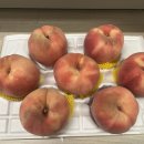 광인농장 이미지