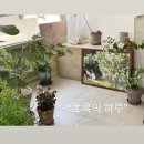 운정 | 스타필드 빌리지 운정 방문기ෆ | 갓덴스시 운정 후기