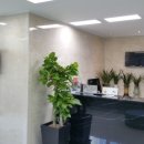 신철규치과의원 이미지