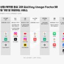 헬로헤일리 이미지