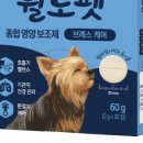 보신양행