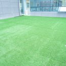 옐레드 애견유치원 & 호텔 고양덕은점 이미지