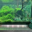 아쿠아랩 잠실 롯데월드점 | 잠실 아쿠아가든카페 롯데월드몰점 후기｜아이와 함께 가기 좋은 수족관 카페