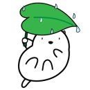 엠코스메틱