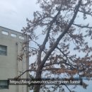 주식회사 푸른나무