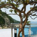 해돌마루펜션 이미지