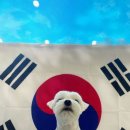 털로덮인친구들시흥배곧점