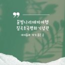 꿀벌나라테마공원 이미지