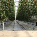 녹색자원㈜ 이미지