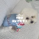 이츠독 | 찐빵이 설날 선물 강아지 한복 이츠독! 애견 한복 후기