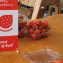 디자인잘하는집