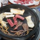 진한세원