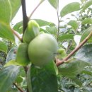 우리농장 이미지