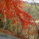 백아산자연휴양림 이미지