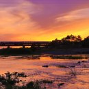 숲속체험마을협동조합 이미지