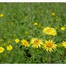 마음의 양식 이미지