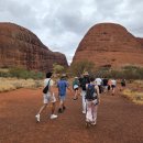 문화한바퀴(나종사랑) | 호주 에어즈락 카타추타 1박2일 첫째 날 투어후기