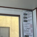 브라운캐빈6 민박 | [제주도 여행] 제주도 여행, 아이랑 가볼 만한 곳, 3일차