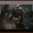 곡성기차마을 패러글라이딩체험 | 곡성기차마을 패러글라이딩촉감 만끽 후기