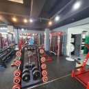 더헬스 앤 피티 이미지