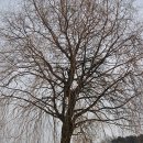 호수공원 10로 이미지