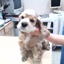 가좌종합동물병원 이미지