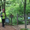 천년숲서로 이미지