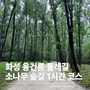 지에스25화성효행로점 | 화성 융건릉 둘레길 후기, 소나무 숲 따라 걷는 1시간 코스